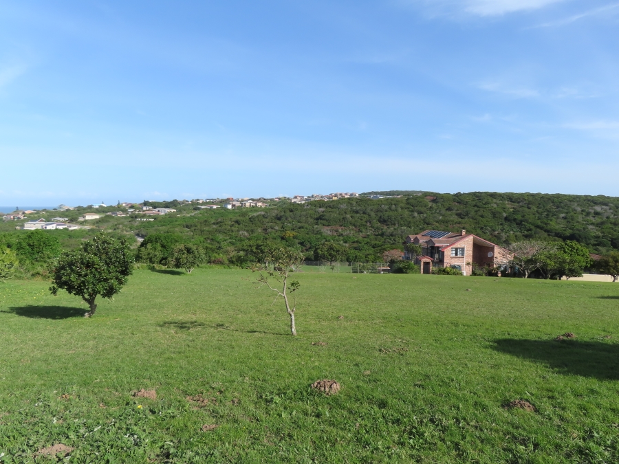 0 Bedroom Property for Sale in Forest Downs Eastern Cape